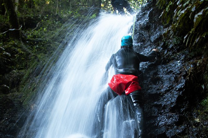 Glowworm Canyoning Adventure - Private Tour From Auckland - Private Tour and Seasonal Timing