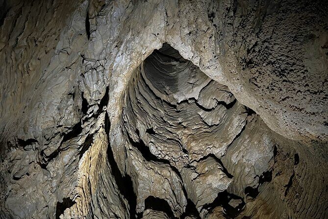 Glowworm Caves & Hamilton Gardens Day Tour from Auckland - FAQ