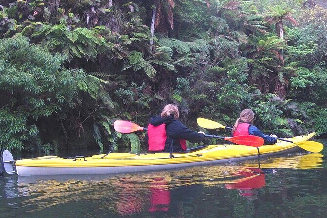 Glowworm Kayak Adventure on the Waikato River - An Authentic Glowworm Experience with a Twist