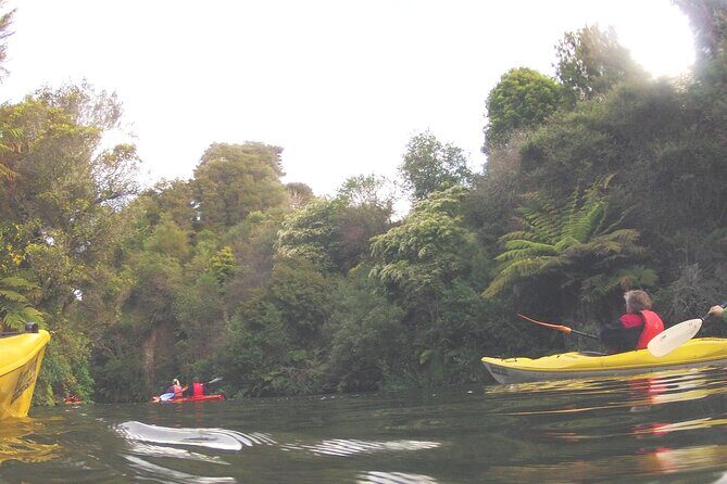 Glowworm Kayak Adventure on the Waikato River - What Makes This Tour Stand Out