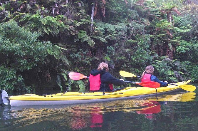 Glowworm Kayak Adventure on the Waikato River - Who Should Consider This Tour?
