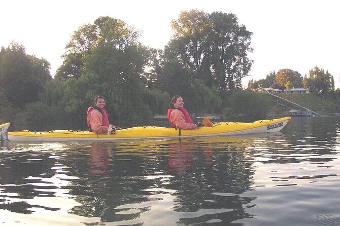 Glowworm Kayak Adventure on the Waikato River - FAQ