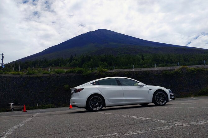 Go Anywhere With a Tesla Rental Car (Free Plan) - Tips for a Smooth Tesla Rental Experience
