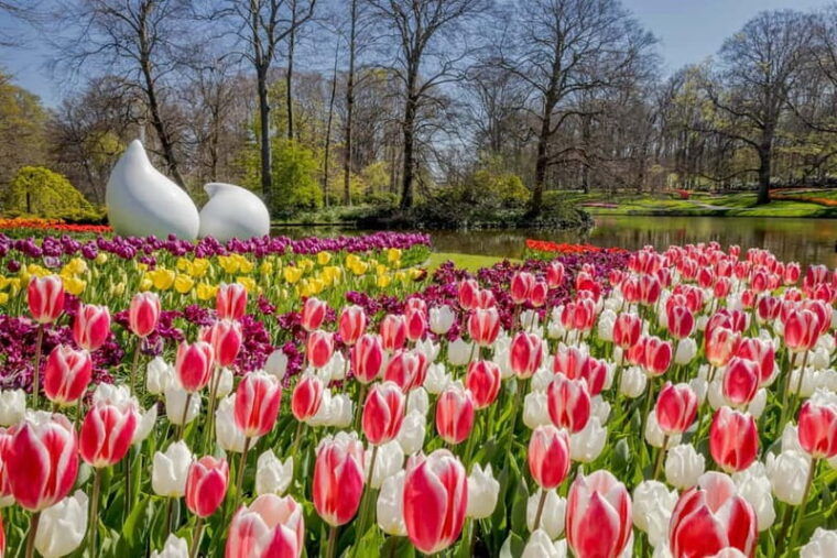 Go City Amsterdam Pass: 40+ Attractions including Keukenhof - Tips for Making the Most of Your Pass