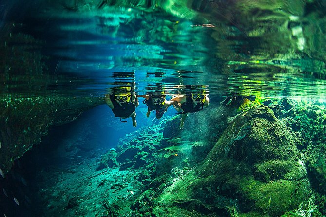 Go City: Cancun All-Inclusive Pass With 15 Activities - Overview of the All-Inclusive Pass