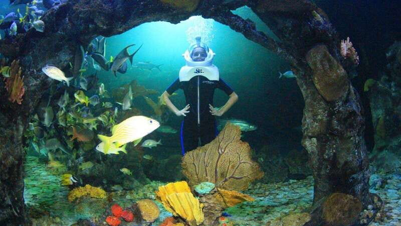 Go City Cancun Pass: Save up to 50% - Includes Chichén Itzá - The Sum Up