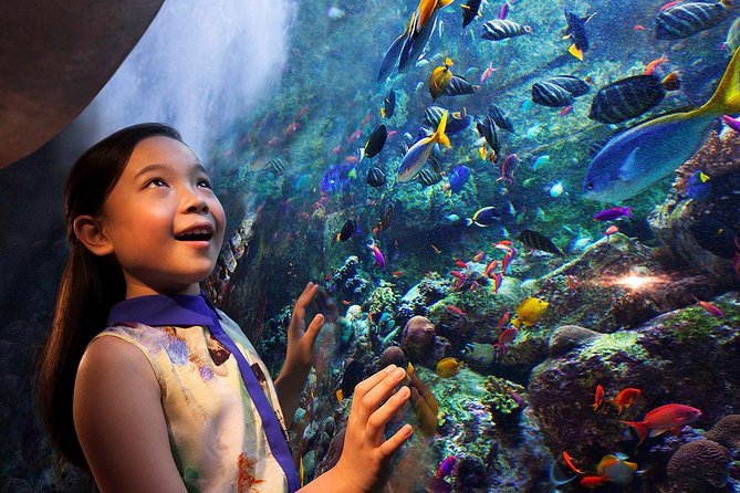 Go City: Dubai Explorer Pass - Choose 3, 4, 5 or 7 Attractions - Attractions and Activities