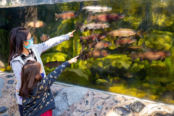 Go City: Los Angeles All-Inclusive Pass: 15 Attractions and Tours - La Brea Tar Pits