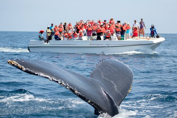 Go City: Los Angeles Explorer Pass - Choose Any 2, 3, 4, 5 or 7 Attractions - Select Date and Travelers