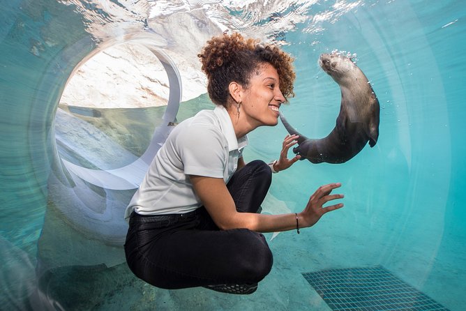 Go City: Miami All-Inclusive Pass With 15 Attractions and Tours - Traveler Photos and Reviews