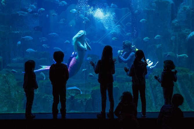 Go City Paris All Inclusive Pass With Paris Museum Pass - Reviews and Ratings