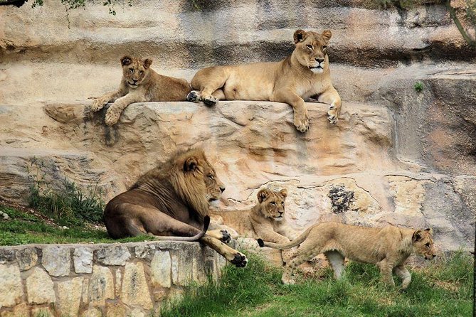 Go City: San Antonio Explorer Pass - Choose 2, 3, 4 or 5 Attractions - The Sum Up