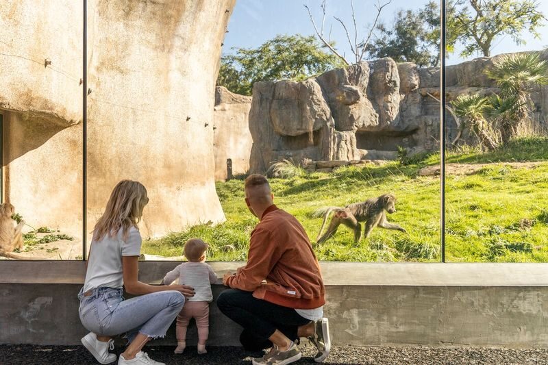 Go City - San Diego All-Inclusive Pass - Treat large parks as full-day commitments