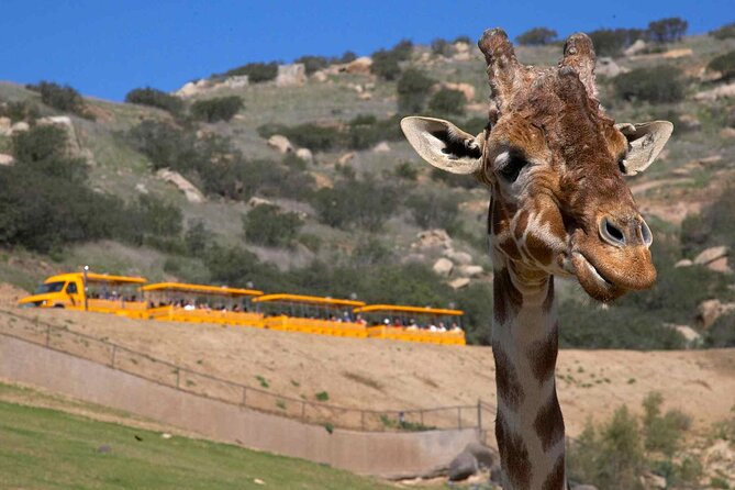 Go City: San Diego Explorer Pass - Choose 2, 3, 4, 5 or 7 Attractions - Lack of Information and Communication