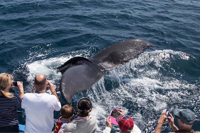 Go City: San Diego Explorer Pass - Choose 2, 3, 4, 5 or 7 Attractions - Common Questions