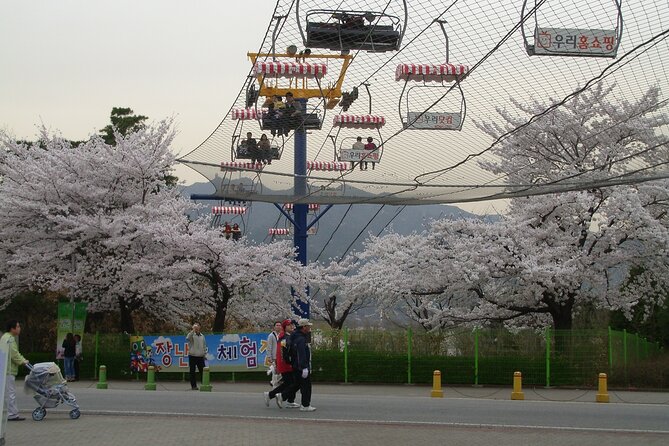 Go City: Seoul Explorer Pass - Choose 3, 4, 5, 6 or 7 Attractions - Overview