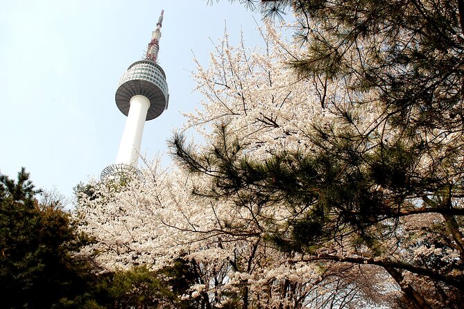 Go City: Seoul Explorer Pass - Choose 3, 4, 5, 6 or 7 Attractions - Traveler Photos and Reviews
