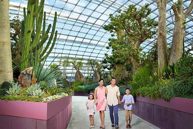 Go City: Singapore All-Inclusive Pass With 50 Attractions - Meeting, Pickup, and Cancellation