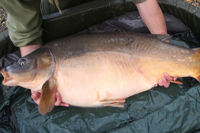 Go Fishing in London - Meeting and Pickup