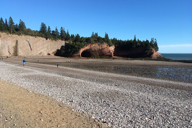 Go Fundy Tours - Minimum Traveler Requirements