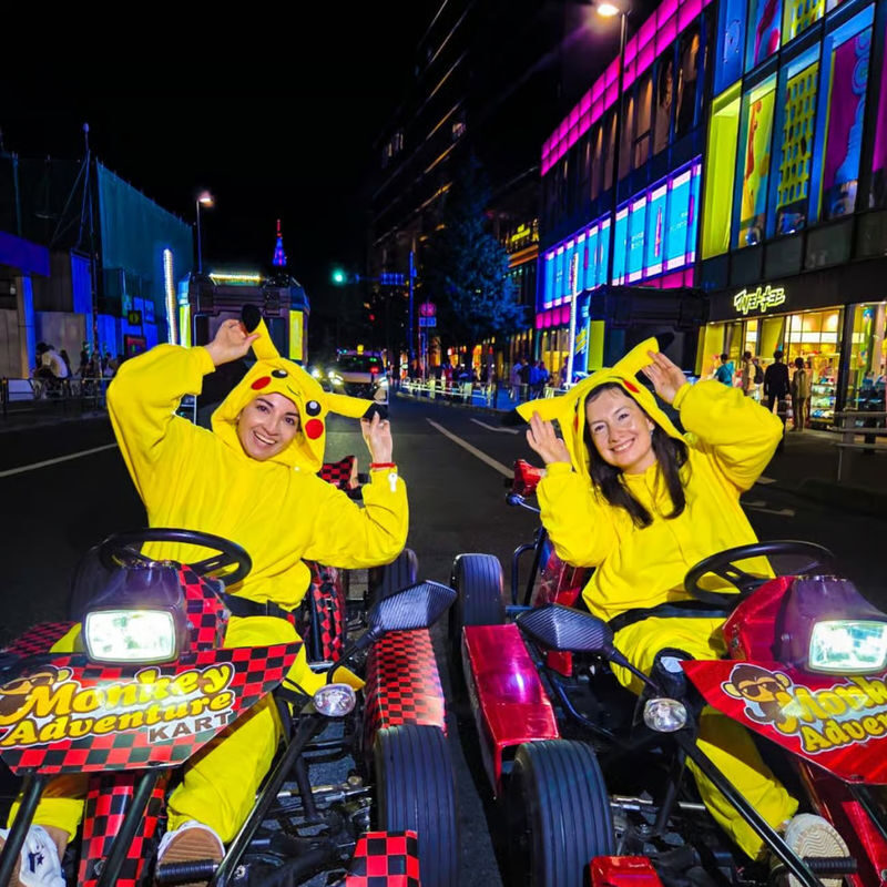Go-Kart Osaka: Explore the Citys Famous Sights with Monkey Kart - At a glance: what the ride includes