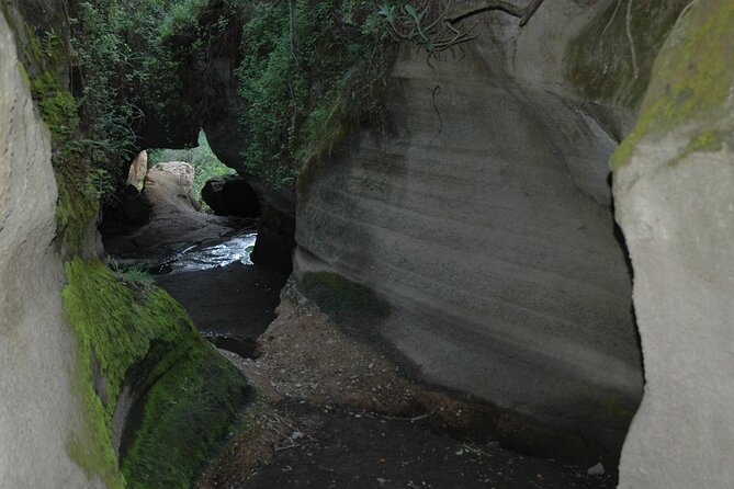 GO Naivasha 1 Day Safari - Good To Know