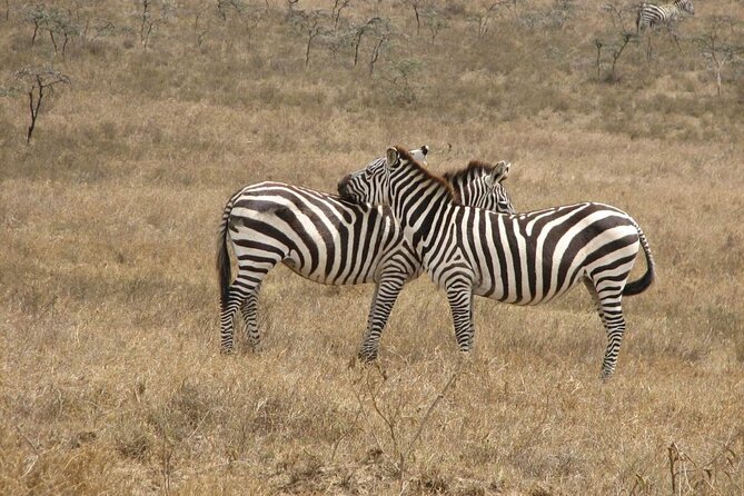 GO Naivasha 1 Day Safari - Fitness Level Requirement