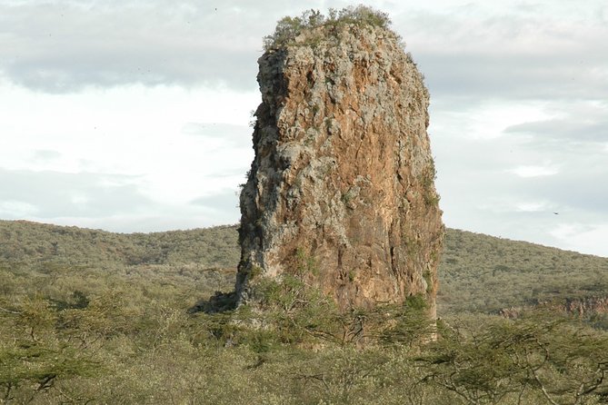 GO Naivasha 1 Day Safari - Directions and Opening Hours