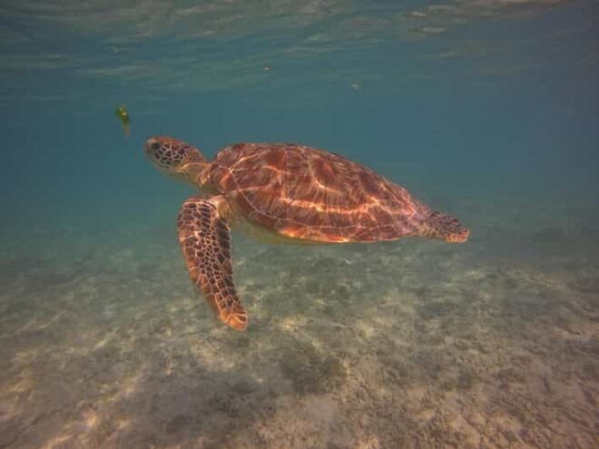 Go Pro Snorkling Trip 3 Islands. - Inclusions