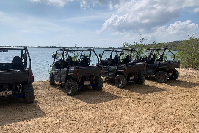 Go West Buggy Adventure - Overview of the Buggy Adventure