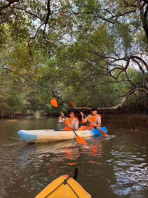 Goa: Backwater Kayaking Tour - The Refreshing River Swim