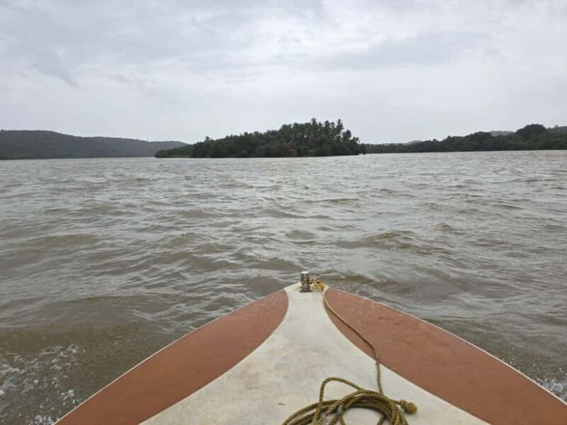 Goa: Backwater Kayaking Tour - Who Should Book This Tour?