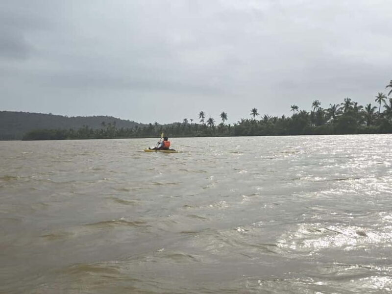 Goa: Backwater Kayaking Tour - Final Thoughts