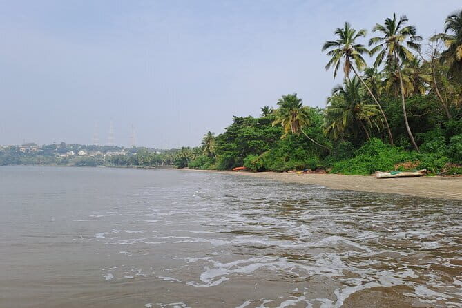 Goa Beach and Beer Tour - The Freedom of Independent Market Shopping  