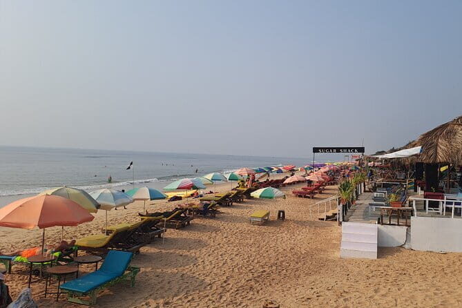 Goa Beach and Beer Tour - How the Experience Feels