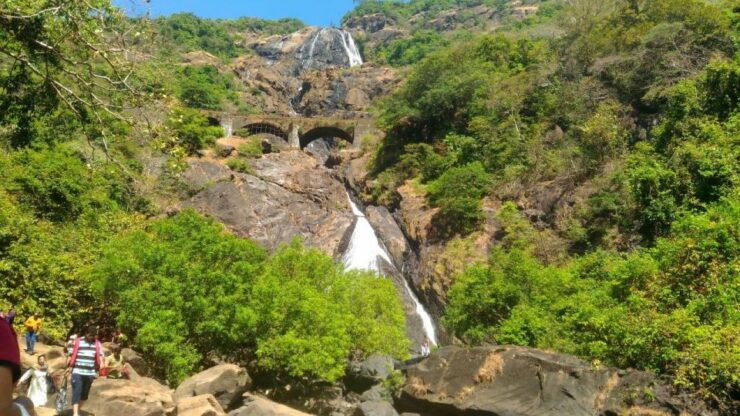 Goa: Dudhsagar Waterfall & Spice Farm Tour With Jeep Safari - Experience