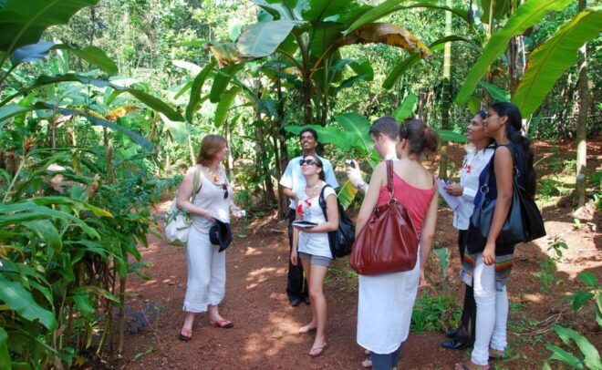 Goa: Dudhsagar Waterfall & Spice Farm Tour With Jeep Safari - Review Summary