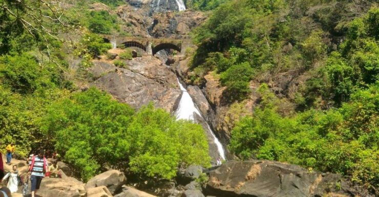 Goa: Dudhsagar Waterfall & Spice Farm Tour With Jeep Safari - Experience