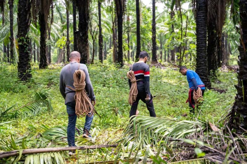 Goa: Forest and River Trail with local Breakfast and Lunch - An Overview of What to Expect
