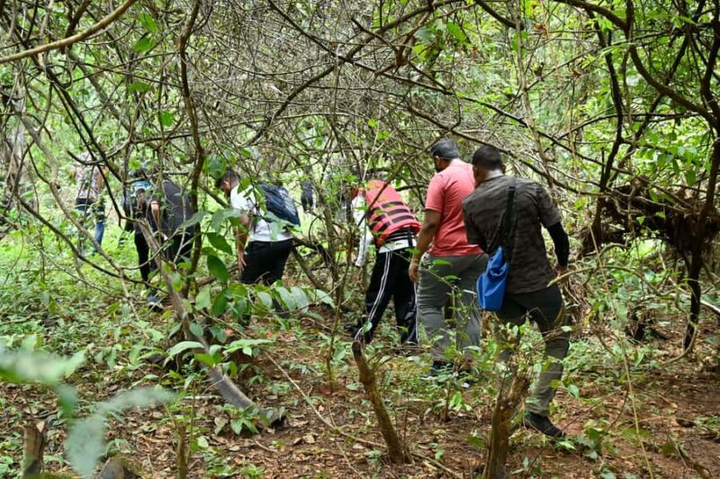 Goa: Forest and River Trail with local Breakfast and Lunch - Why This Tour Stands Out
