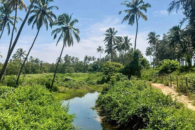 Goa: Harvalem Waterfall & Spice Plantation Join Tour - Good To Know