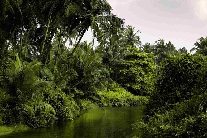 Goa: Harvalem Waterfall & Spice Plantation Join Tour - Who Should Consider This Tour?