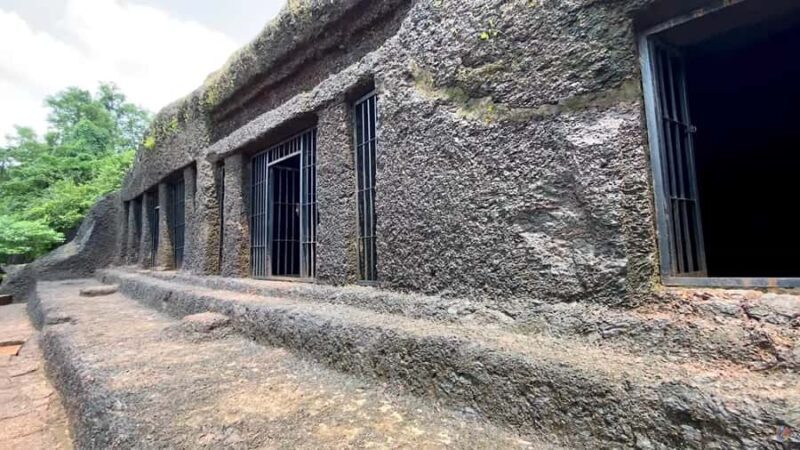 Goa: Harvalem Waterfall & Spice Plantation Tour - Final Thoughts