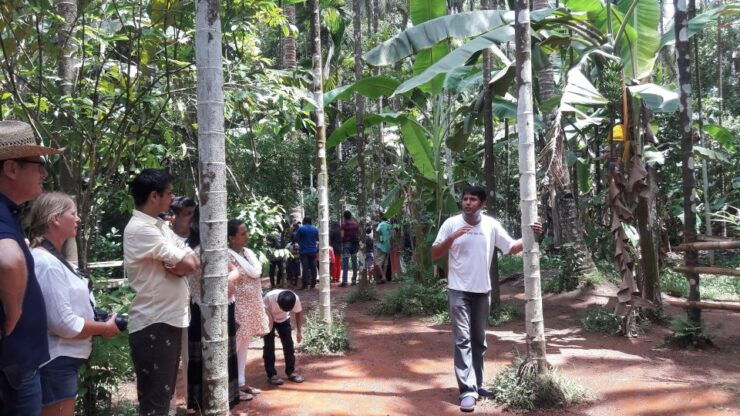 Goa in 1 Day Tour With Churches,Temples,Spice Farm Tour - Tour Experience