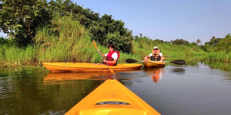 Goa Kayaking : Backwaters and Mangrove Kayaking Experience - Guides and Safety