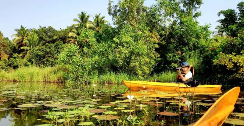 Goa Kayaking : Backwaters and Mangrove Kayaking Experience - Good To Know