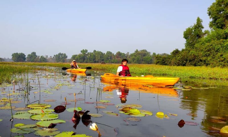 Goa Kayaking : Backwaters and Mangrove Kayaking Experience - The Practicalities: Price, Duration, and Safety