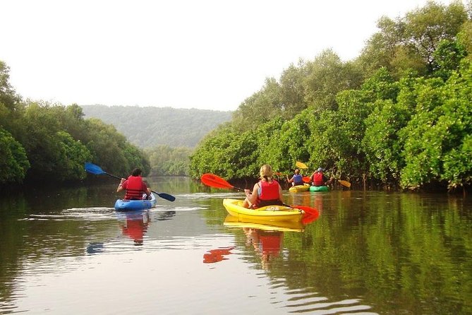 Goa Kayaking in Spikes River - Inclusions