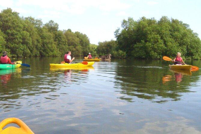 Goa Kayaking Spikes Salonia Backwaters Kayaking Experience - Meeting Point Details