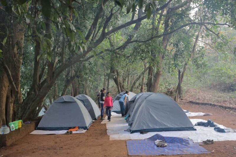 Goa :Overnight Camping, BBQ, Dinner, Night Trek, & Breakfast - Good To Know